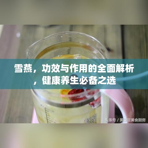 鸿飞雪爪 第2页