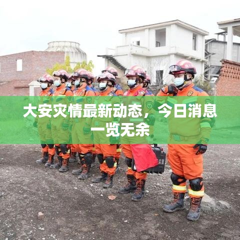 大安灾情最新动态，今日消息一览无余