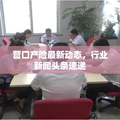 营口产险最新动态，行业新闻头条速递