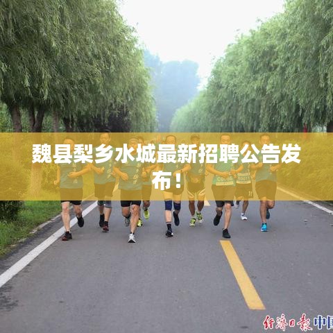魏县梨乡水城最新招聘公告发布！