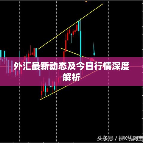 外汇最新动态及今日行情深度解析