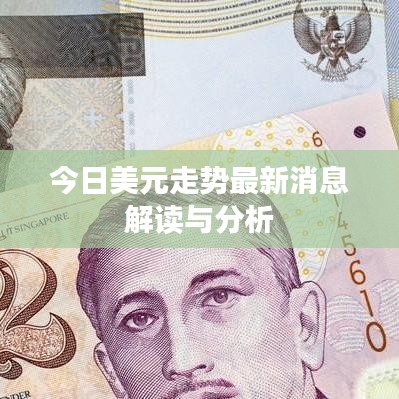 今日美元走势最新消息解读与分析