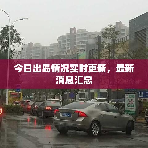 今日出岛情况实时更新，最新消息汇总