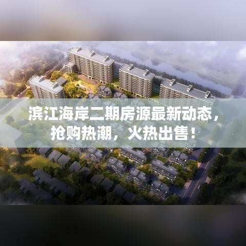 滨江海岸二期房源最新动态，抢购热潮，火热出售！