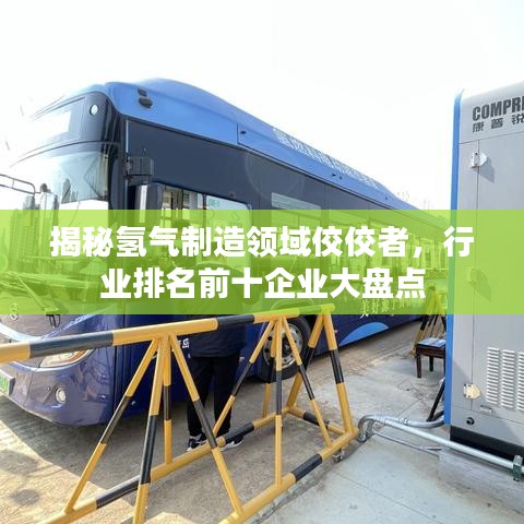 揭秘氢气制造领域佼佼者，行业排名前十企业大盘点