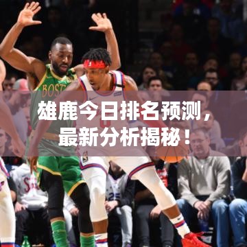 雄鹿今日排名预测，最新分析揭秘！