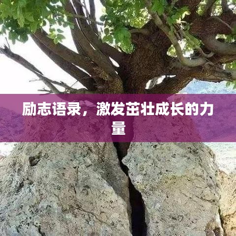 怨天怨地 第2页