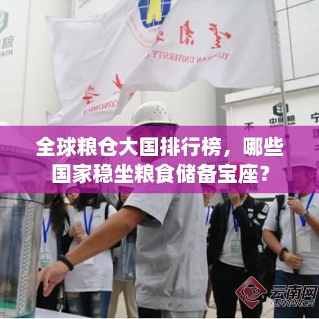 全球粮仓大国排行榜，哪些国家稳坐粮食储备宝座？