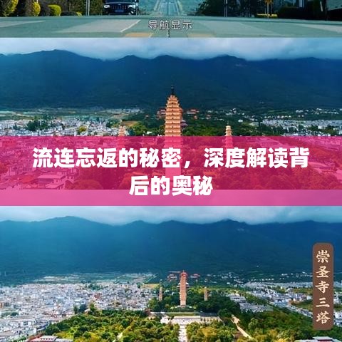 流连忘返的秘密，深度解读背后的奥秘