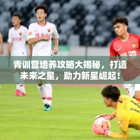 包装设计 第61页
