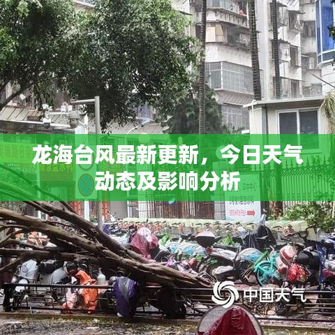 龙海台风最新更新，今日天气动态及影响分析
