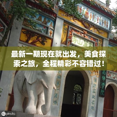最新一期现在就出发，美食探索之旅，全程精彩不容错过！