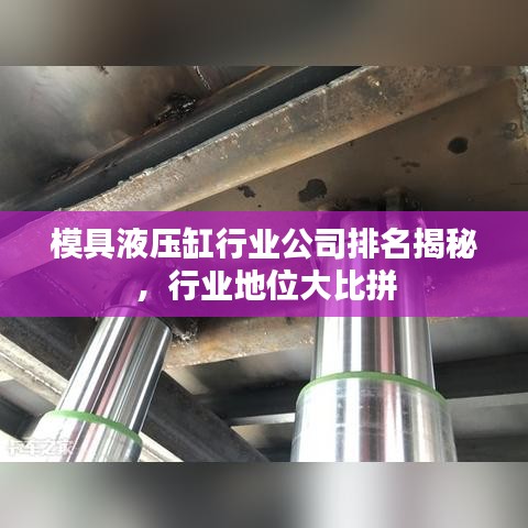 模具液压缸行业公司排名揭秘，行业地位大比拼