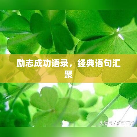 励志成功语录，经典语句汇聚