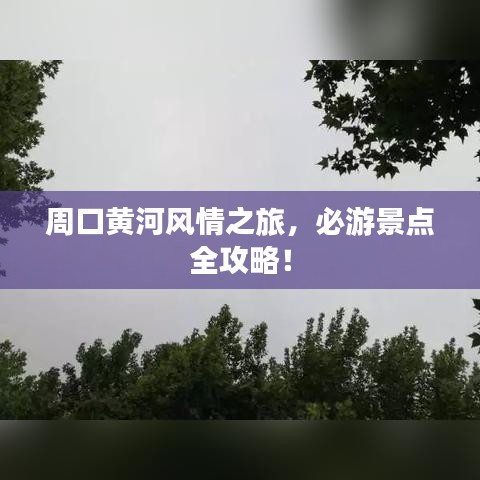 周口黄河风情之旅，必游景点全攻略！