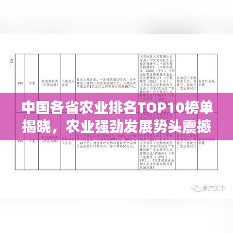 中国各省农业排名TOP10榜单揭晓，农业强劲发展势头震撼亮相！