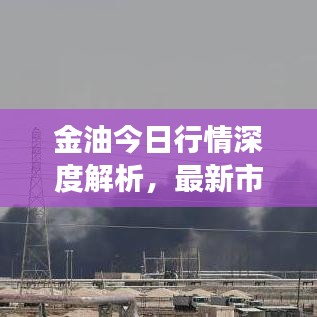 金油今日行情深度解析，最新市场动态一网打尽！