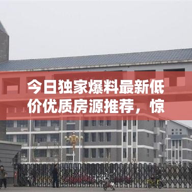 今日独家爆料最新低价优质房源推荐，惊喜折扣，抢购在即！