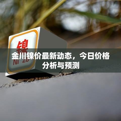 金川镍价最新动态，今日价格分析与预测