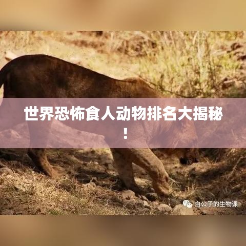 世界恐怖食人动物排名大揭秘！