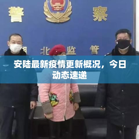 安陆最新疫情更新概况，今日动态速递