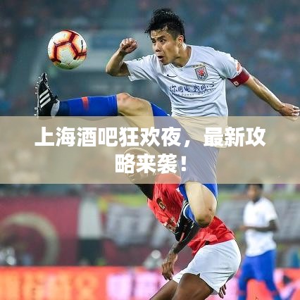 上海酒吧狂欢夜，最新攻略来袭！