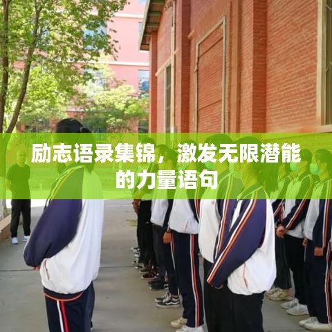 励志语录集锦，激发无限潜能的力量语句