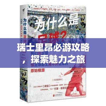 瑞士里昂必游攻略，探索魅力之旅