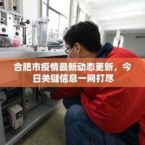 合肥市疫情最新动态更新，今日关键信息一网打尽