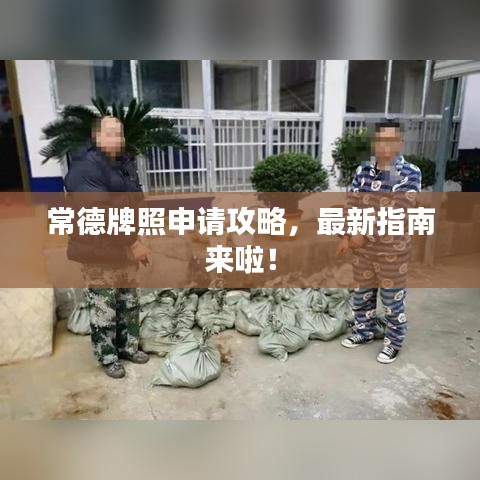 常德牌照申请攻略，最新指南来啦！