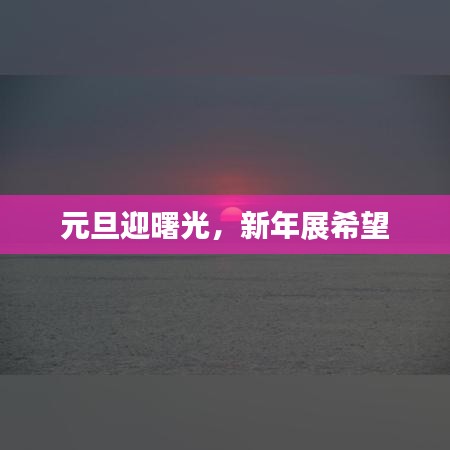 元旦迎曙光，新年展希望