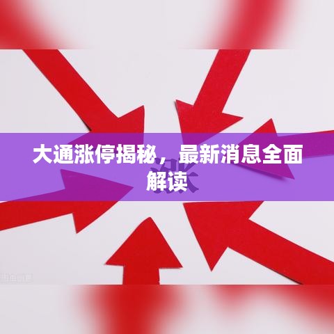 大通涨停揭秘，最新消息全面解读