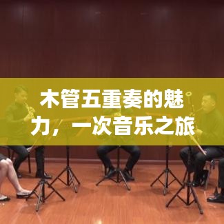 木管五重奏的魅力，一次音乐之旅的百度独家揭秘