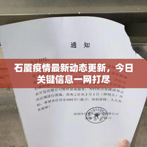石厦疫情最新动态更新，今日关键信息一网打尽