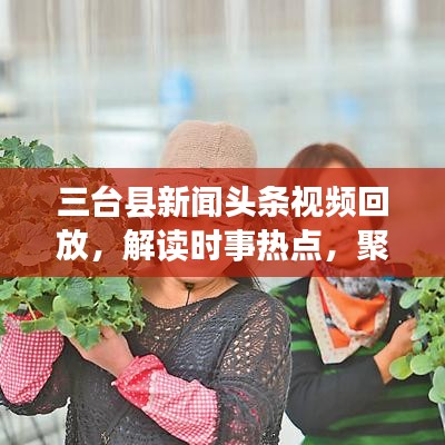 三台县新闻头条视频回放，解读时事热点，聚焦民生发展动态