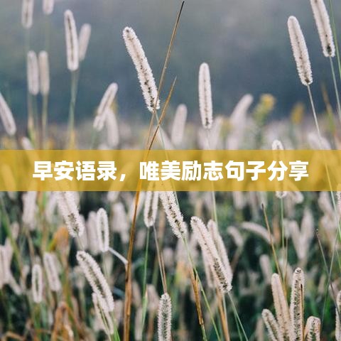 早安语录，唯美励志句子分享