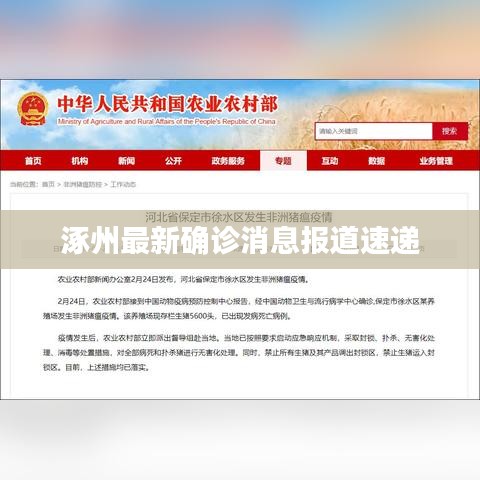 涿州最新确诊消息报道速递