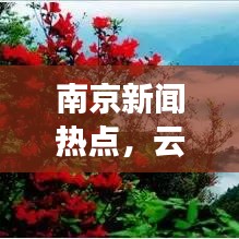 南京新闻热点，云海现象引发热议