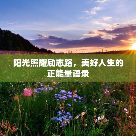 阳光照耀励志路，美好人生的正能量语录