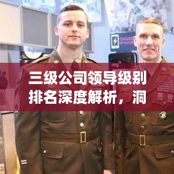 三级公司领导级别排名深度解析，洞悉权力架构与层级关系！