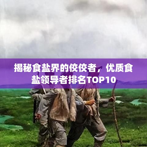 揭秘食盐界的佼佼者，优质食盐领导者排名TOP10