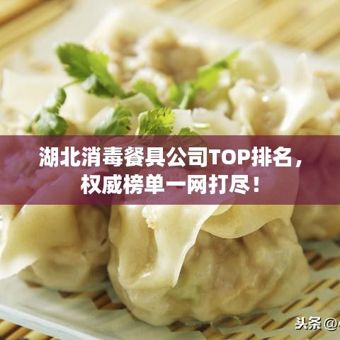 湖北消毒餐具公司TOP排名，权威榜单一网打尽！