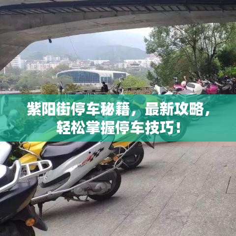 紫阳街停车秘籍，最新攻略，轻松掌握停车技巧！
