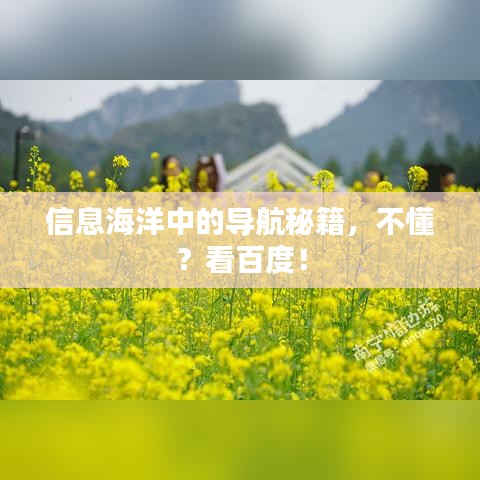 信息海洋中的导航秘籍，不懂？看百度！