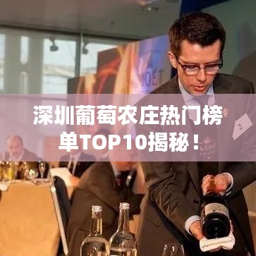 深圳葡萄农庄热门榜单TOP10揭秘！