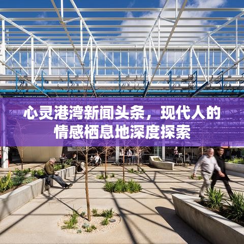 心灵港湾新闻头条，现代人的情感栖息地深度探索