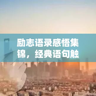励志语录感悟集锦，经典语句触动心灵