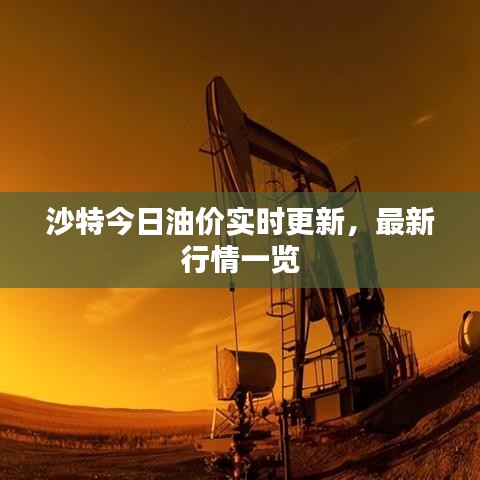 沙特今日油价实时更新，最新行情一览