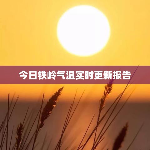 今日铁岭气温实时更新报告