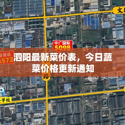泗阳最新菜价表，今日蔬菜价格更新通知